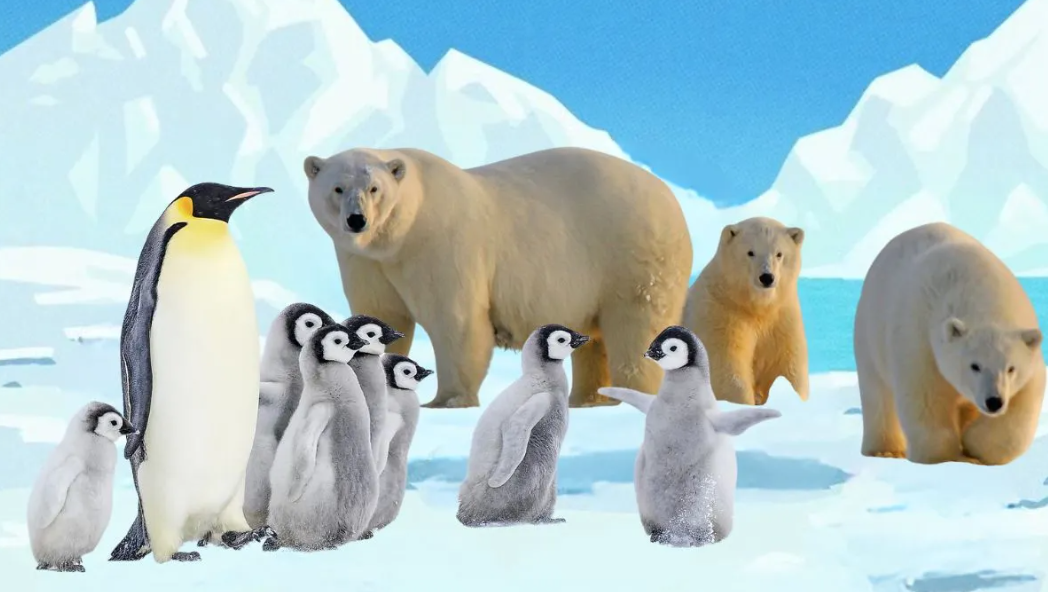 У чому помилка? Тест для найрозумніших