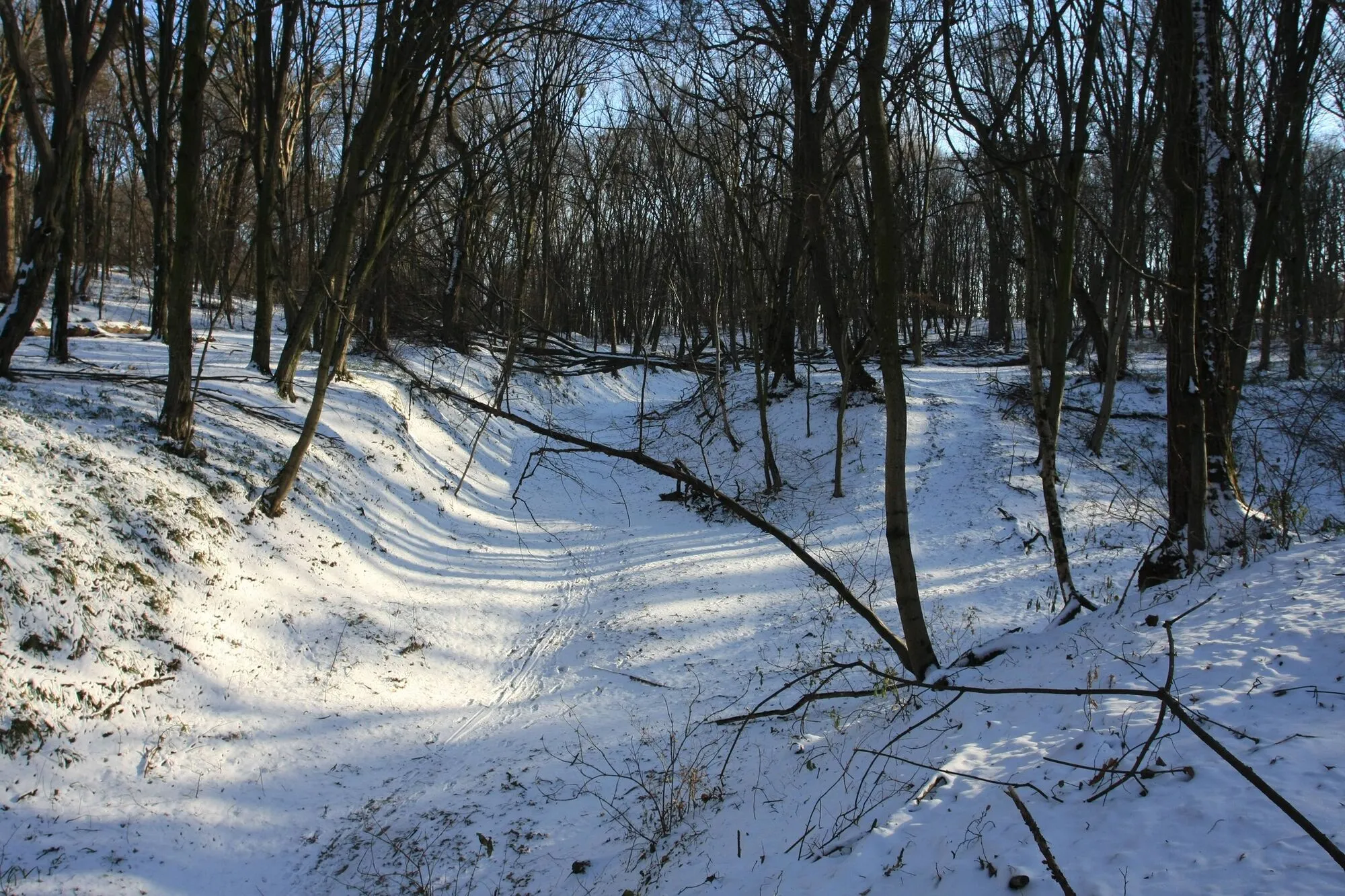 В Киеве до сих пор можно увидеть уникальную "Танковую дорогу", которой около 200 лет. История и фото