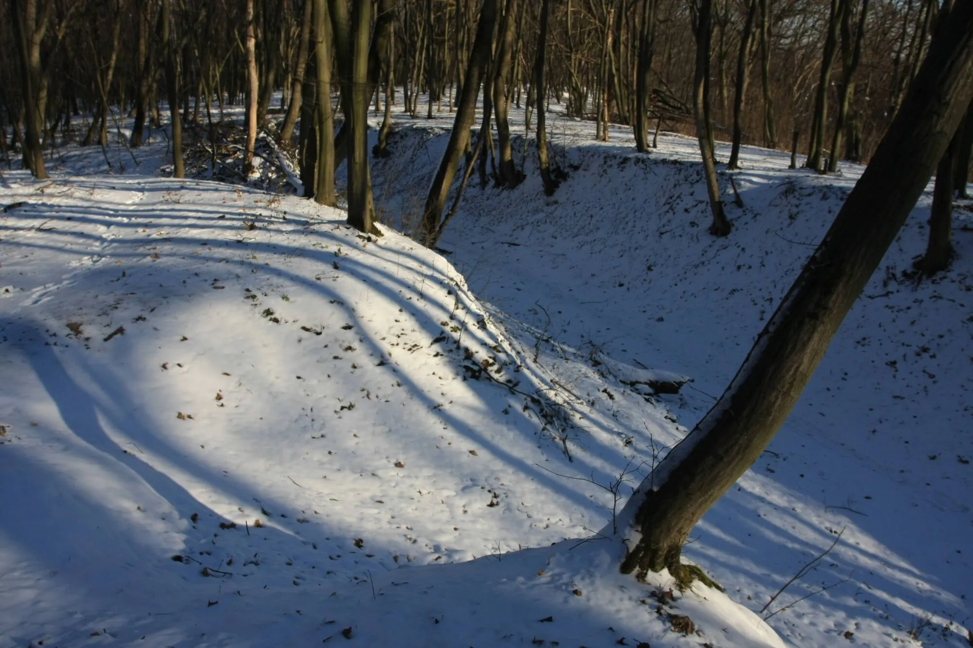 В Киеве до сих пор можно увидеть уникальную "Танковую дорогу", которой около 200 лет. История и фото