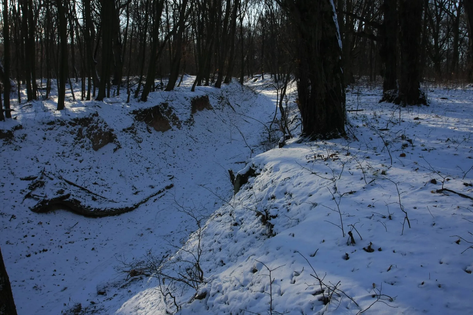 В Киеве до сих пор можно увидеть уникальную "Танковую дорогу", которой около 200 лет. История и фото