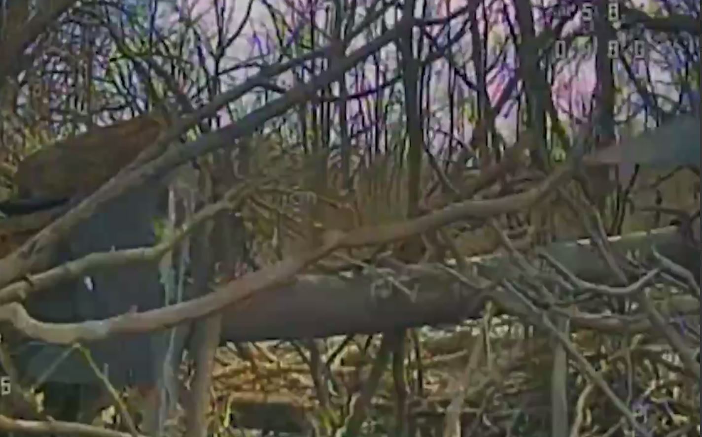 Філігранна робота: оператори дронів знищили замаскований бліндаж і живу силу ворога. Відео