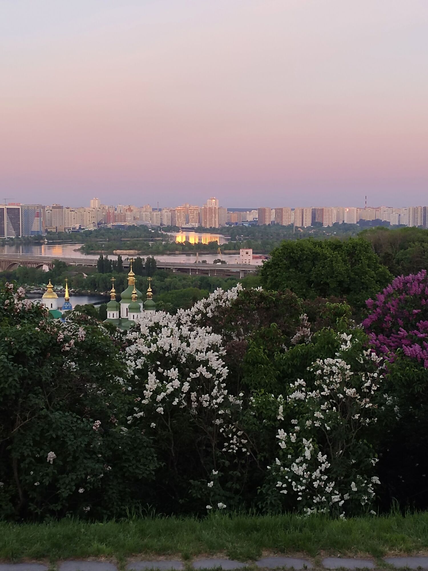 Путівник весняним цвітінням у Києві: де цвітуть азалії, сакури, бузок, тюльпани