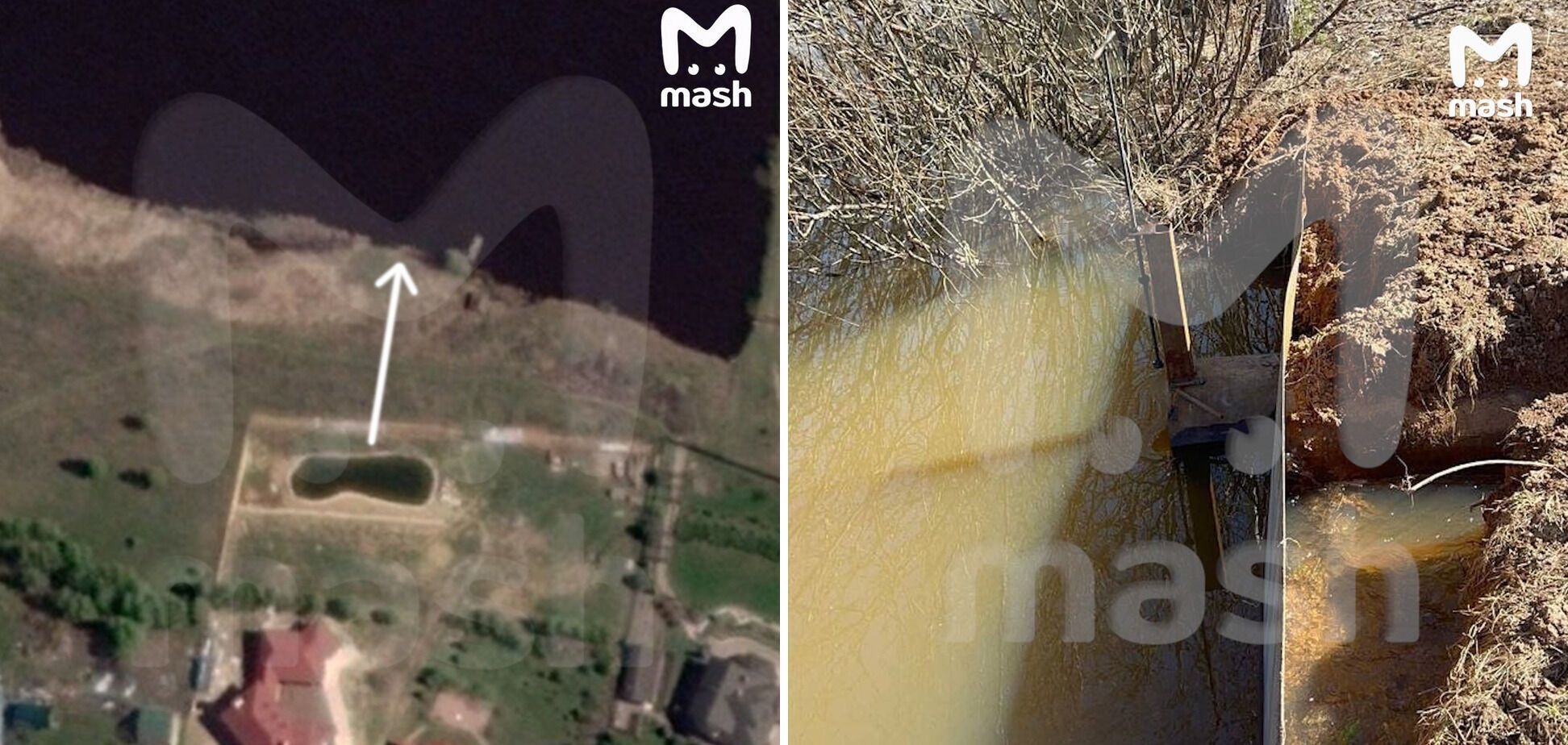 У Лариси Доліної виникли нові проблеми в Росії: чому зі зрадниці можуть стягнути 100 мільйонів рублів