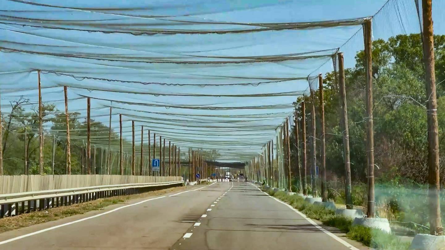 В Италии предлагают поощрять рыбаков, которые передают сети для защиты украинцев от российских дронов