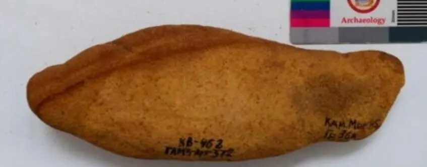 У ГУР розкрили дані про російських археологів, причетних до розграбування культурної спадщини України: де "засвітилися"