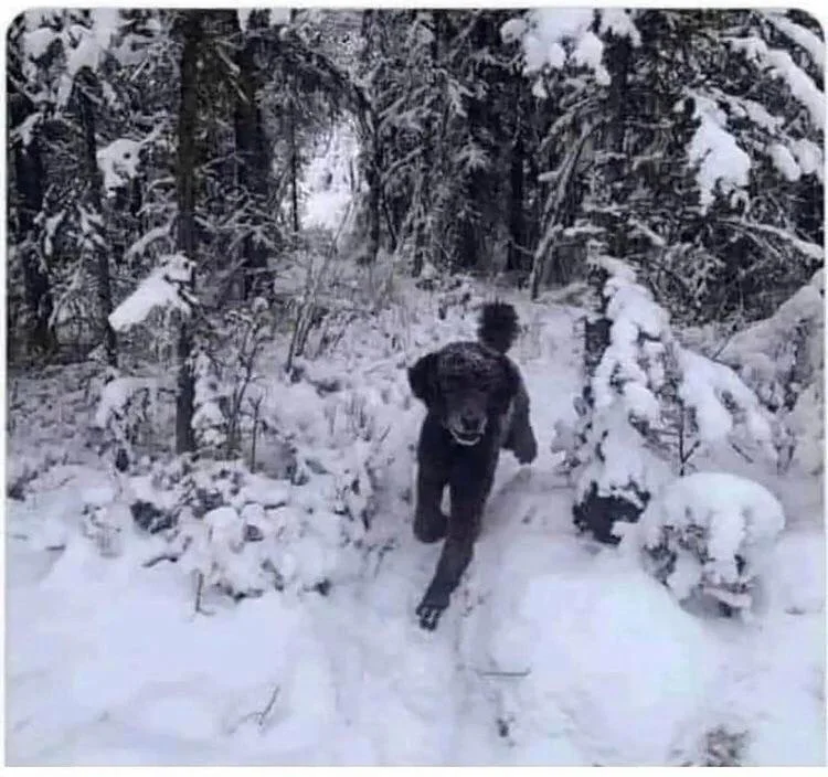 Що побачили першим? Тест розкриє правду про вашу особистість