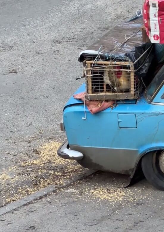 Всю жизнь в одной машине: в Киеве патрульные помогли пожилому водителю-переселенцу, у которого сломалась машина. Видео