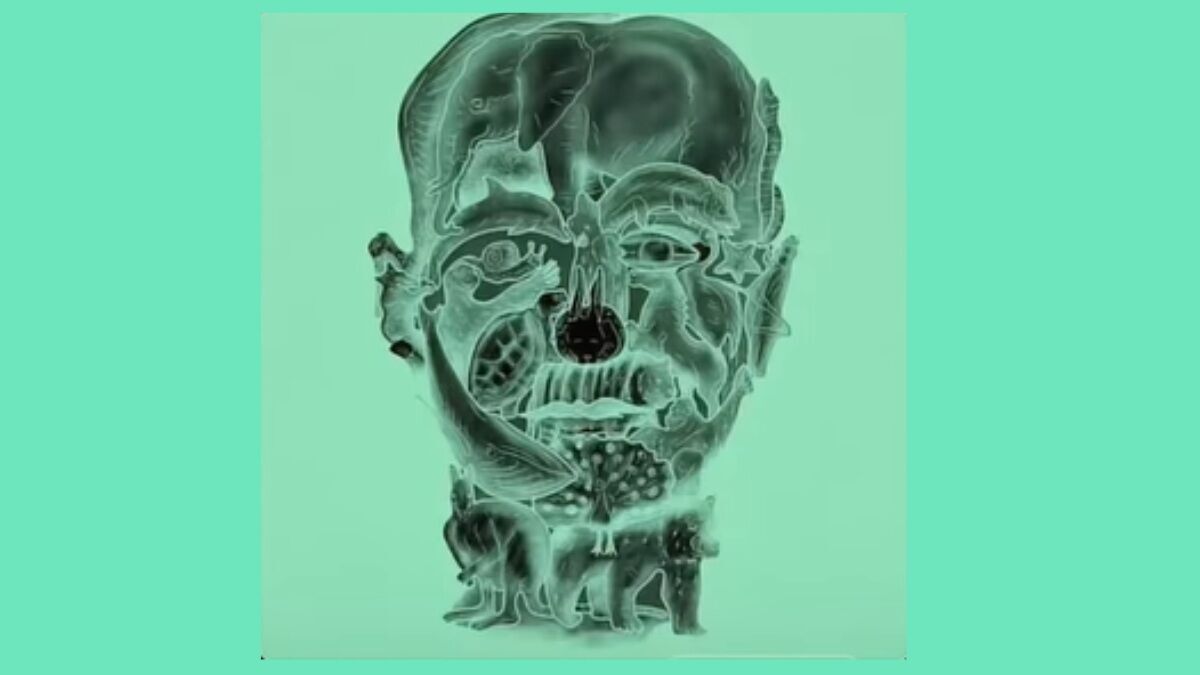 Какое животное вы увидели? Тест покажет вашу токсичную черту