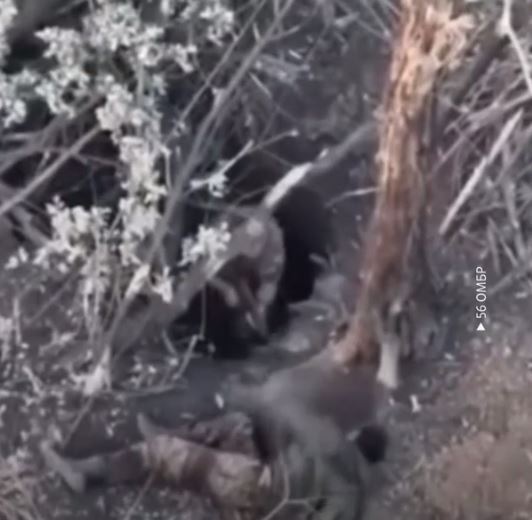 Окупант не пустив свого "побратима" в укриття, боячись викриття позиції: у фіналі ліквідували їх обох. Відео