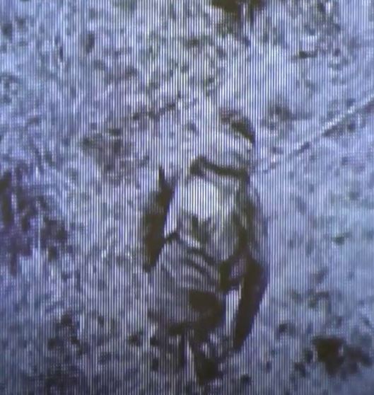 Окупант не пустив свого "побратима" в укриття, боячись викриття позиції: у фіналі ліквідували їх обох. Відео