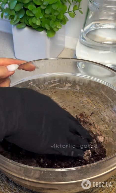 Трендове шоколадне печиво тріщинками: як приготувати