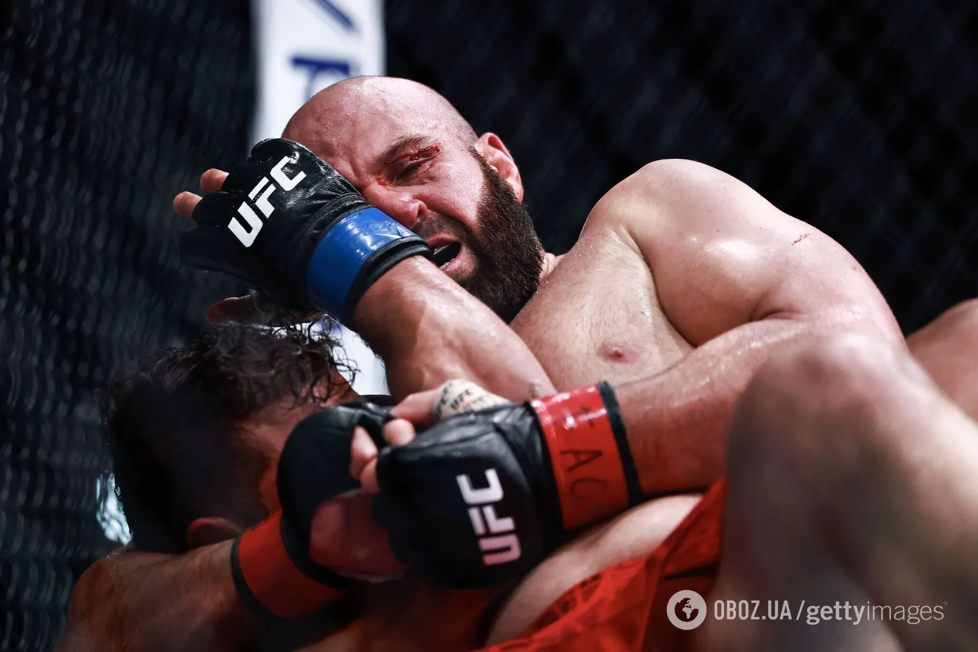 Під оплески Трампа. Непереможного російського бійця брутально нокаутував дебютант одним ударом. Відео