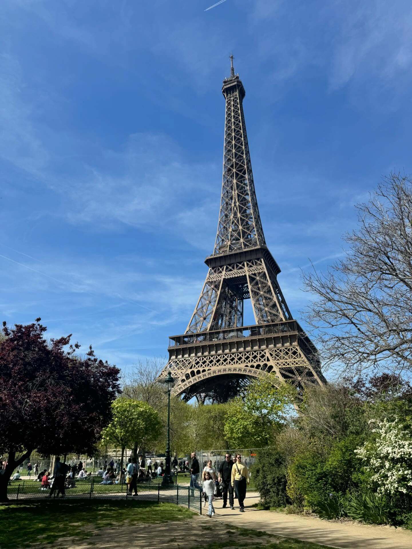 Украинские гимнастки покорили Париж своей красотой. Фото