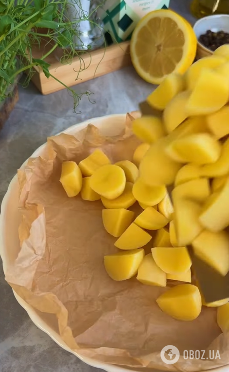 Смачний теплий салат зі смаженою картоплею: на кожен день і для святкового столу