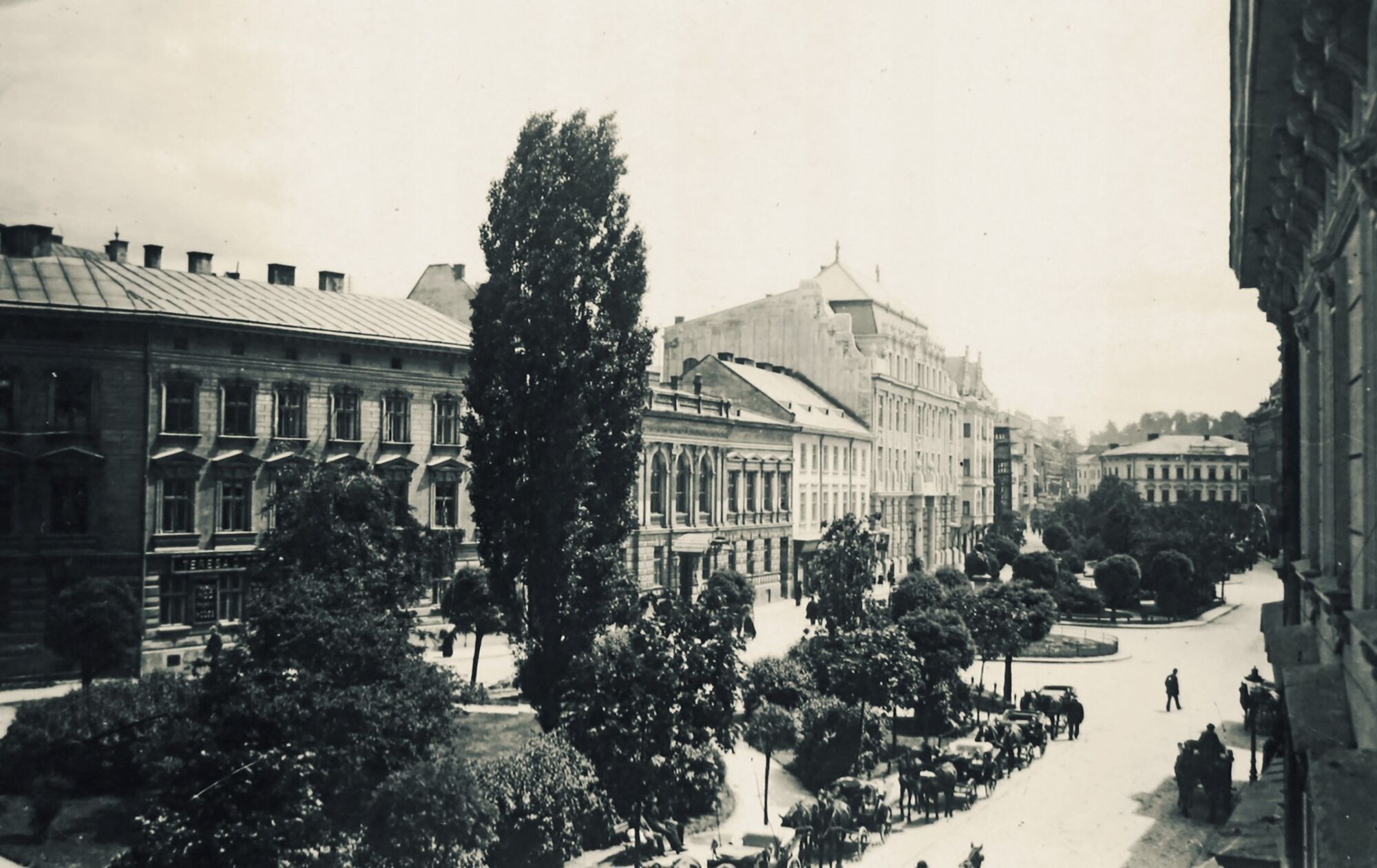 Старий Львів: у мережі показали унікальні фото