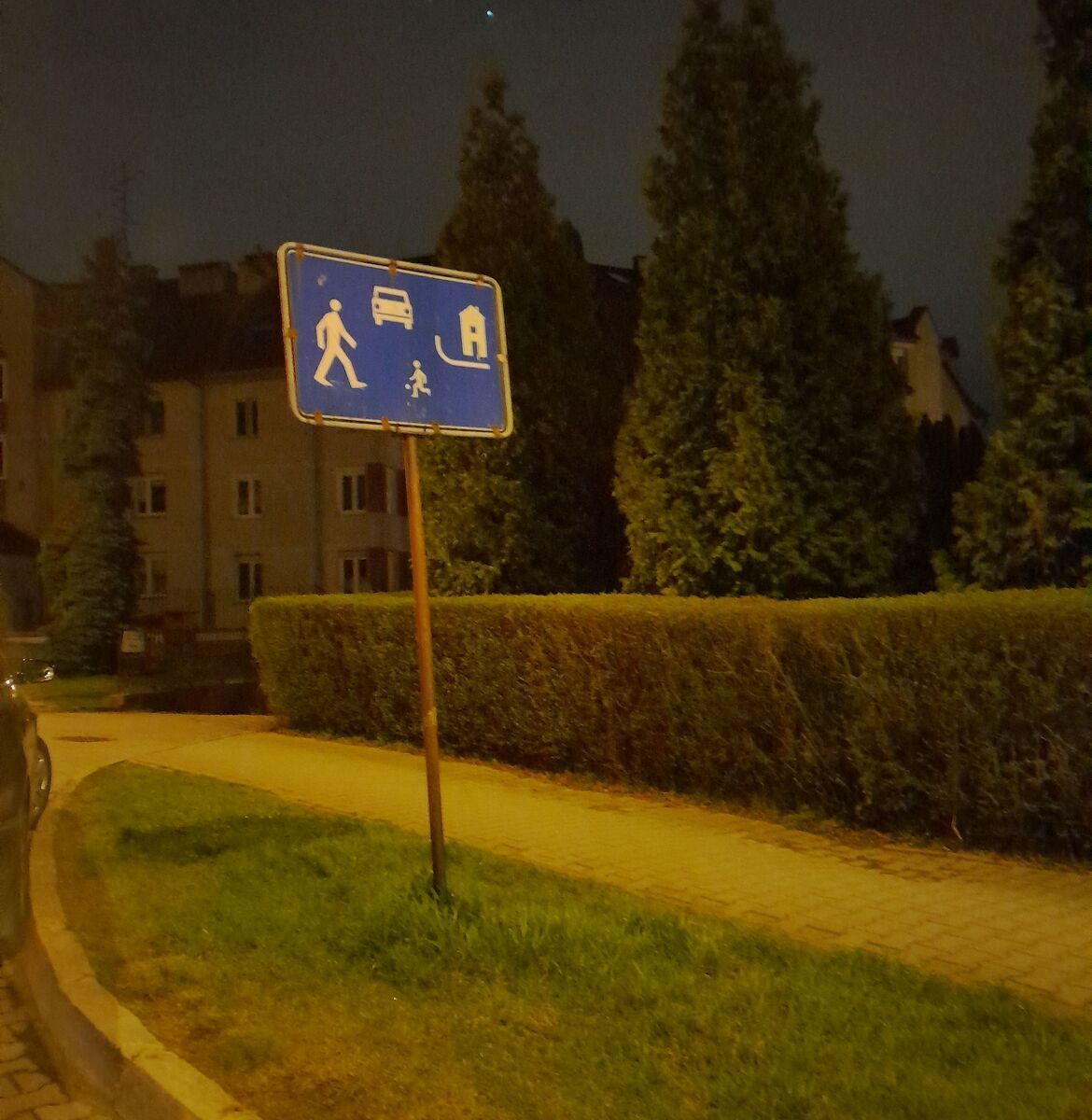 У Польщі 26-річна українка померла після падіння з самоката: деталі трагедії. Фото