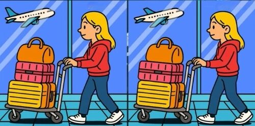 Найдите отличия: головоломка, которая проверит ваш IQ