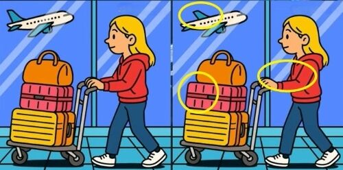 Найдите отличия: головоломка, которая проверит ваш IQ