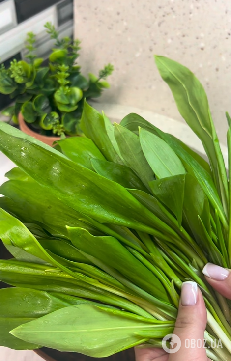 Смачний весняний салат з черемші: як приготувати