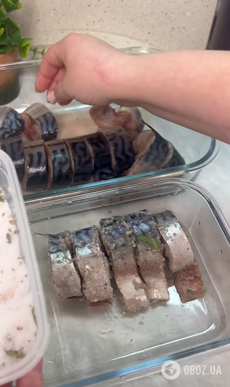 Вкусная скумбрия сухого посола: как приготовить в домашних условиях