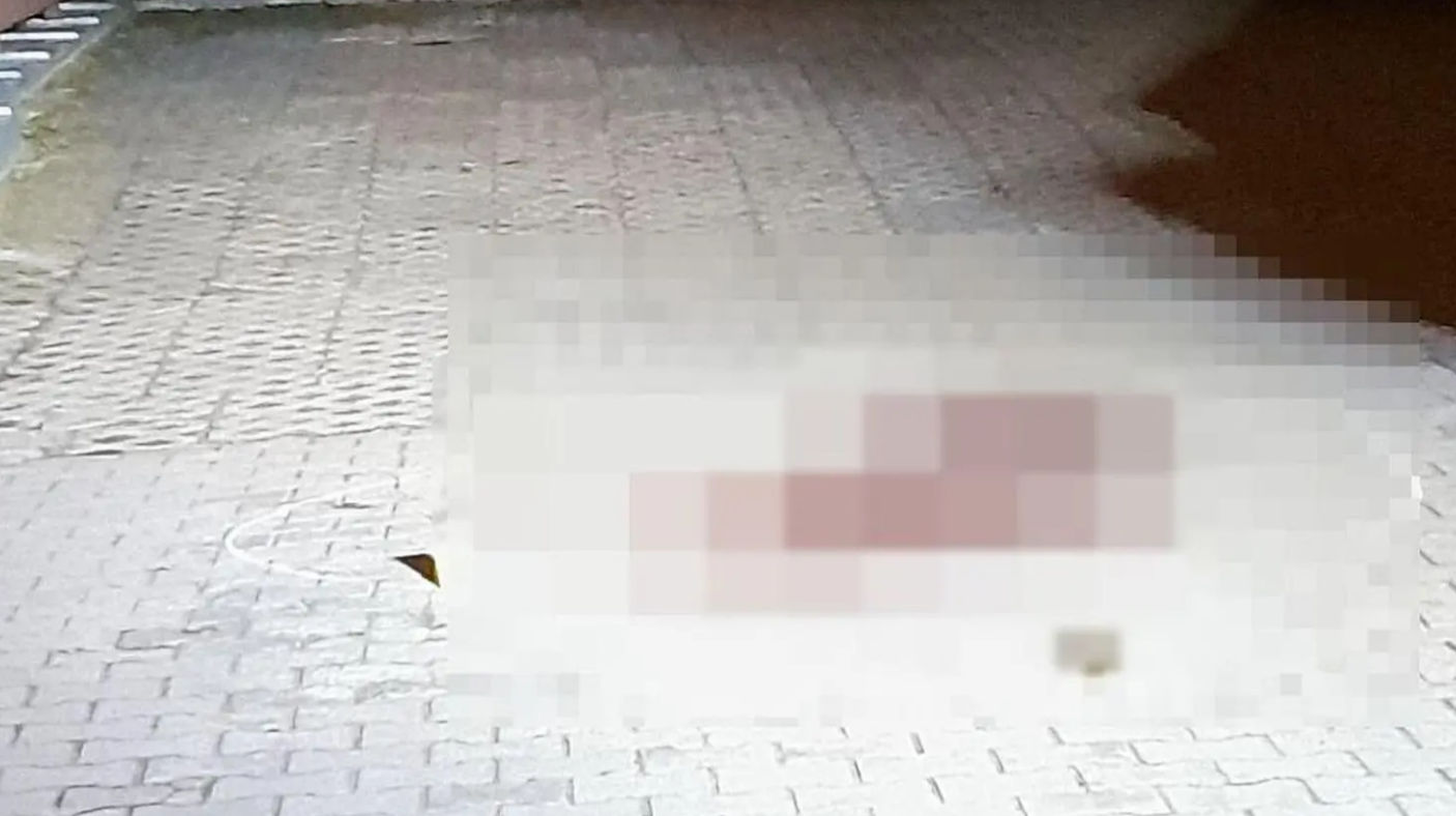 У Польщі 26-річна українка померла після падіння з самоката: деталі трагедії. Фото