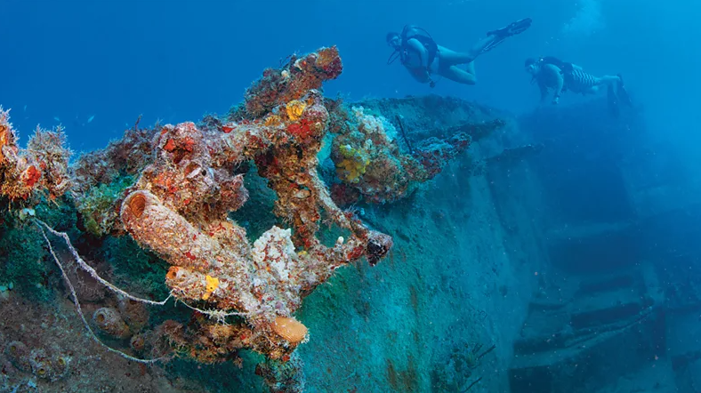 Найкращі місця у світі для дайвінгу: ви ніколи не забудете побачене