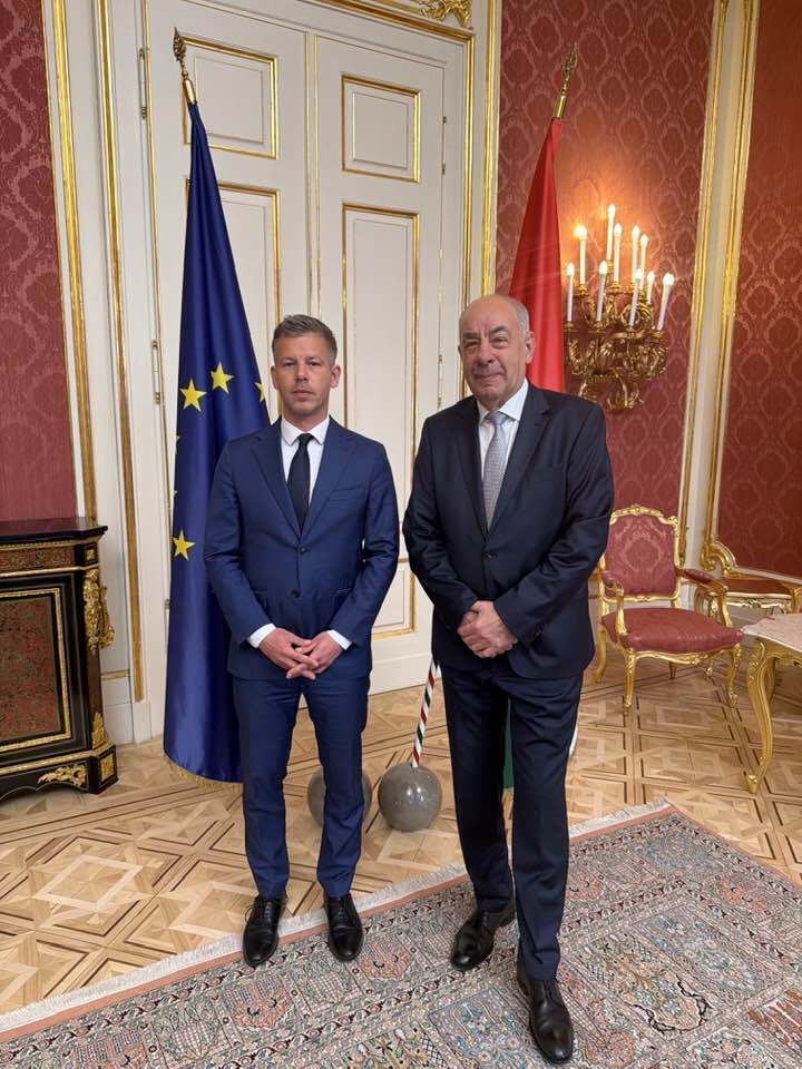 "Ми усунемо його й усіх інших маріонеток": Мадяр заявив, що вимагає відставки президента Угорщини. Відео