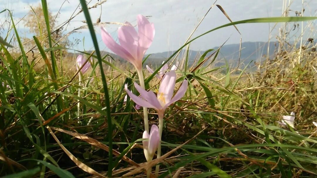 Знаменитий український спортивний лікар помер через помилку в продуктовому магазині