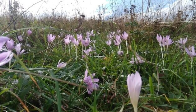 Знаменитий український спортивний лікар помер через помилку в продуктовому магазині