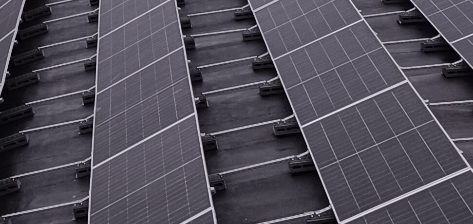 Сталий розвиток у дії: як БаДМ зменшує вуглецевий слід і впроваджує екологічні рішення