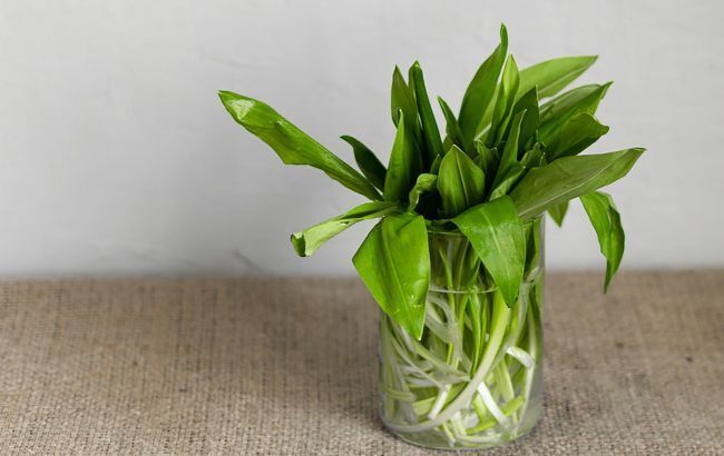 Знаменитий український спортивний лікар помер через помилку в продуктовому магазині