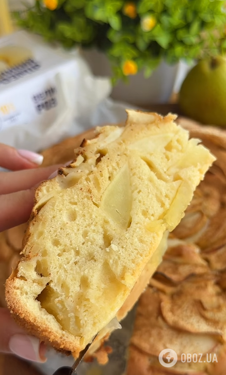 Найпростіший рецепт яблучної шарлотки: тісто вийде дуже пухким