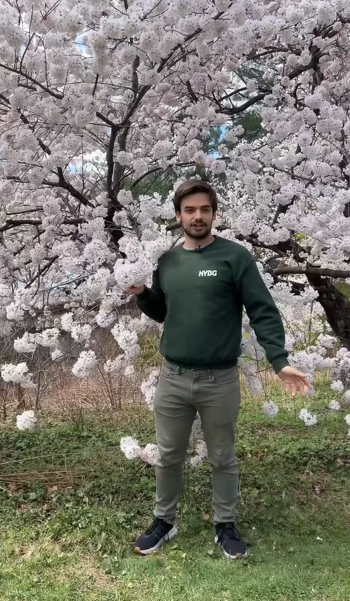 "Прокляття привабливості". Американський садівник став жертвою хтивих коментарів після невинного відео з квітами: який вигляд він має