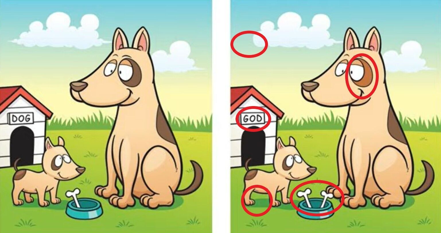 Знайдіть 5 відмінностей: весела головоломка