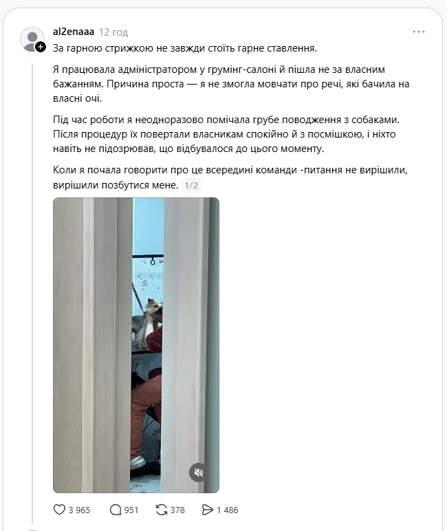 Схопила собаку за шию і замахувалася: у Києві поліція почала перевірку через інцидент в грумінг-салоні. Відео