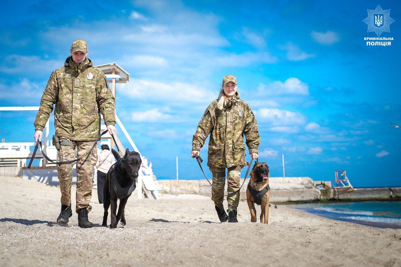 ШІ їх не замінить: службові собаки Нацполіції допомогли розкрити понад 48 тисяч злочинів