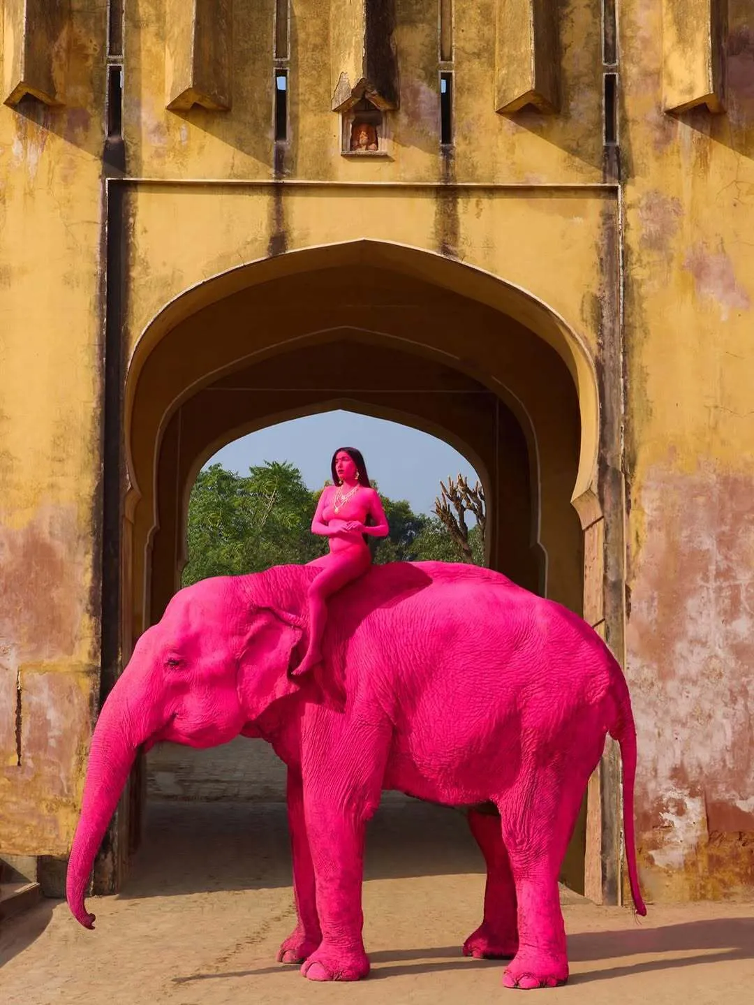 В Індії помер слон, якого росіянка пофарбувала в рожевий колір для фотосесії. Відео