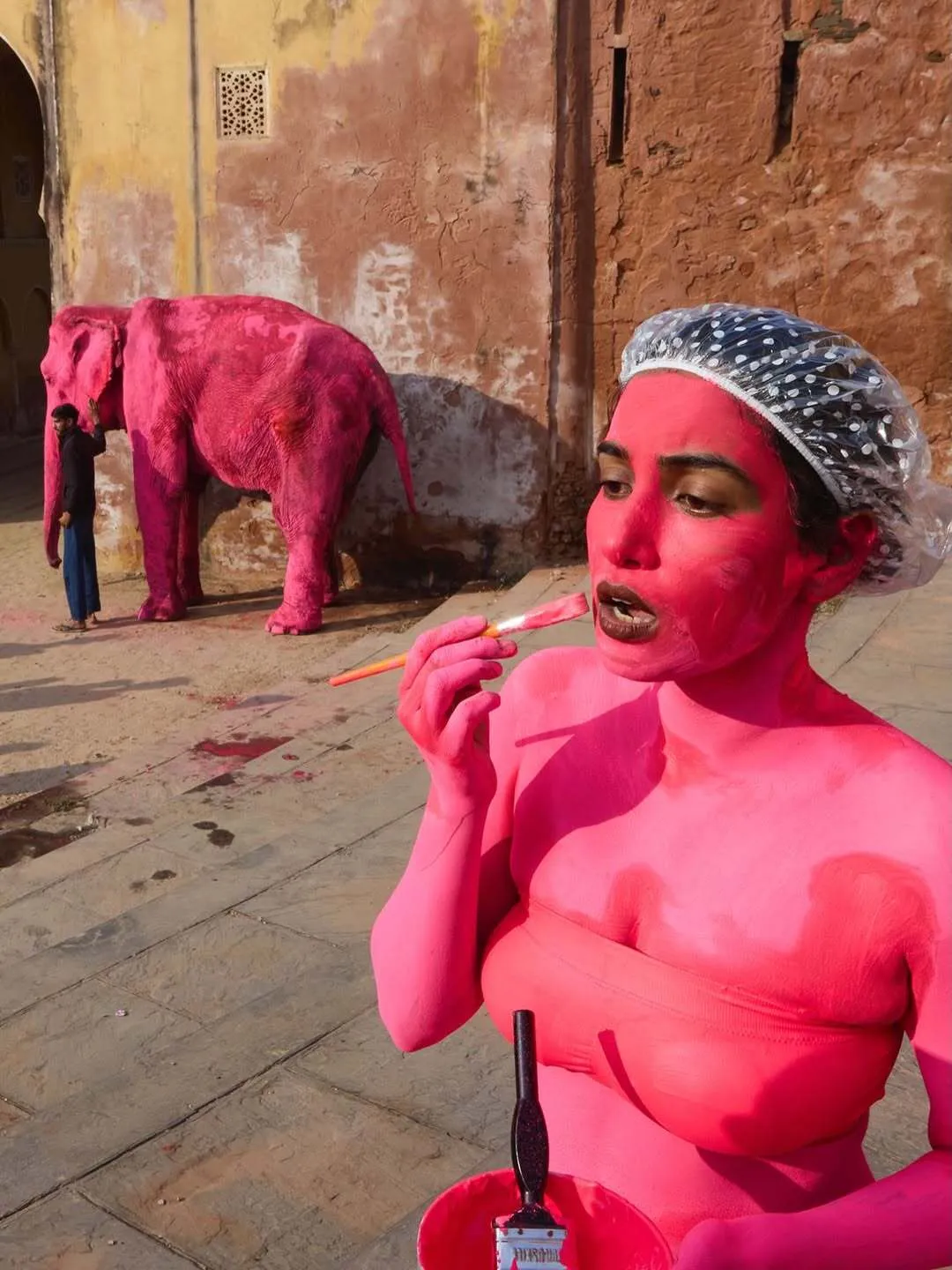 В Індії помер слон, якого росіянка пофарбувала в рожевий колір для фотосесії. Відео