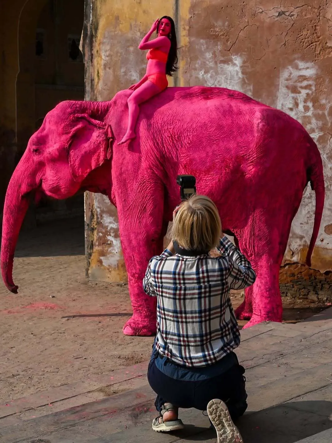 В Індії помер слон, якого росіянка пофарбувала в рожевий колір для фотосесії. Відео