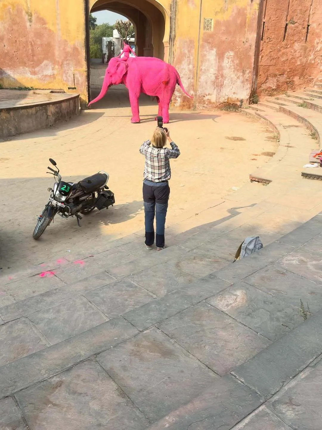 В Індії помер слон, якого росіянка пофарбувала в рожевий колір для фотосесії. Відео