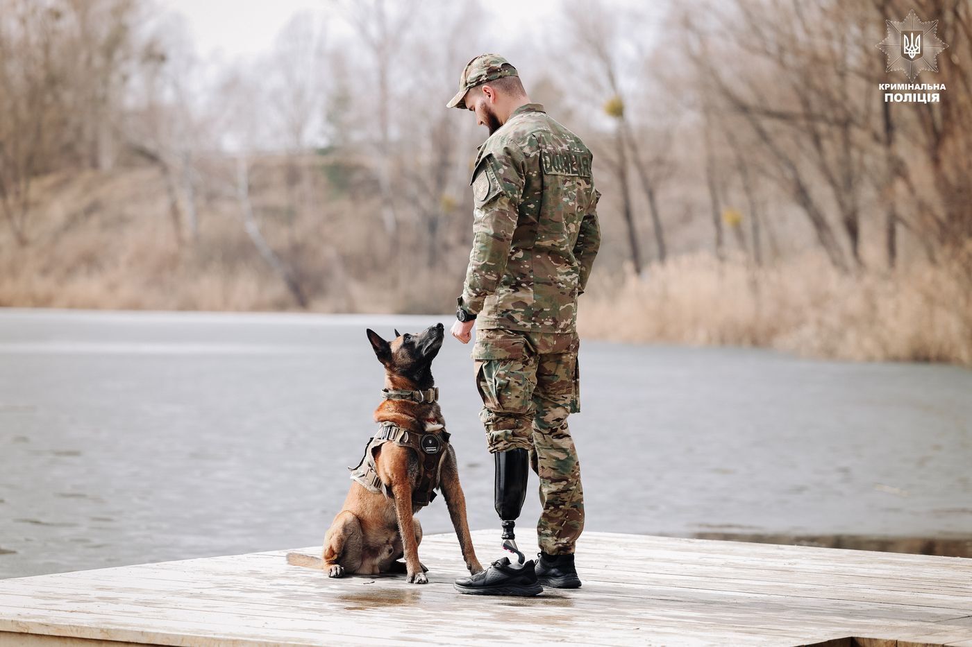 ШІ їх не замінить: службові собаки Нацполіції допомогли розкрити понад 48 тисяч злочинів