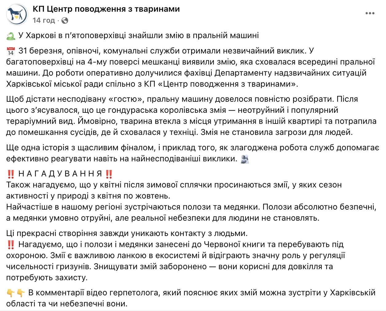 У Харкові в пральній машині знайшли змію: як вона туди потрапила. Фото