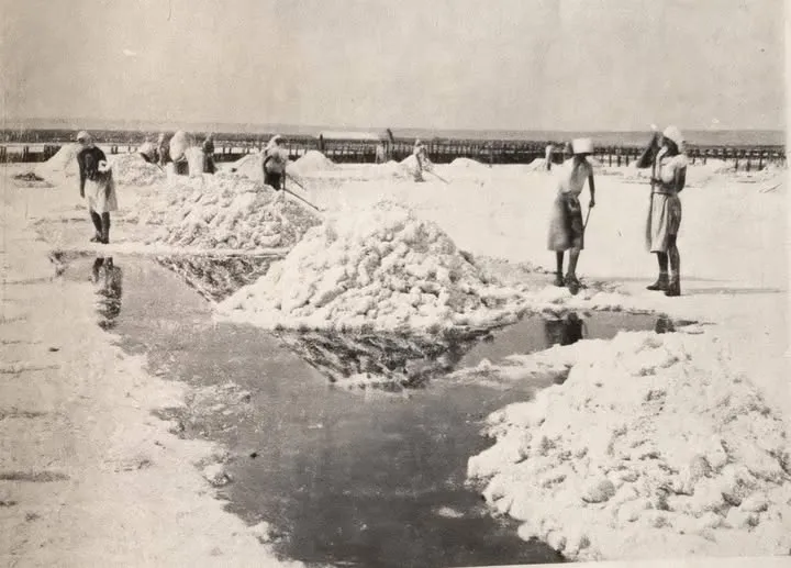 Так видобували сіль: у мережі показали Куяльник 100 років тому