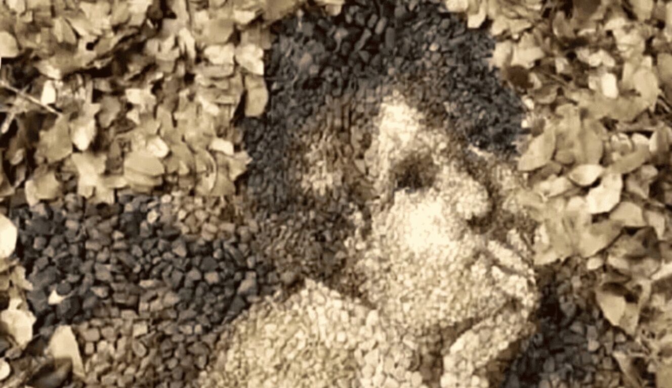 Що побачили першим? Тест покаже, чи ви щасливі