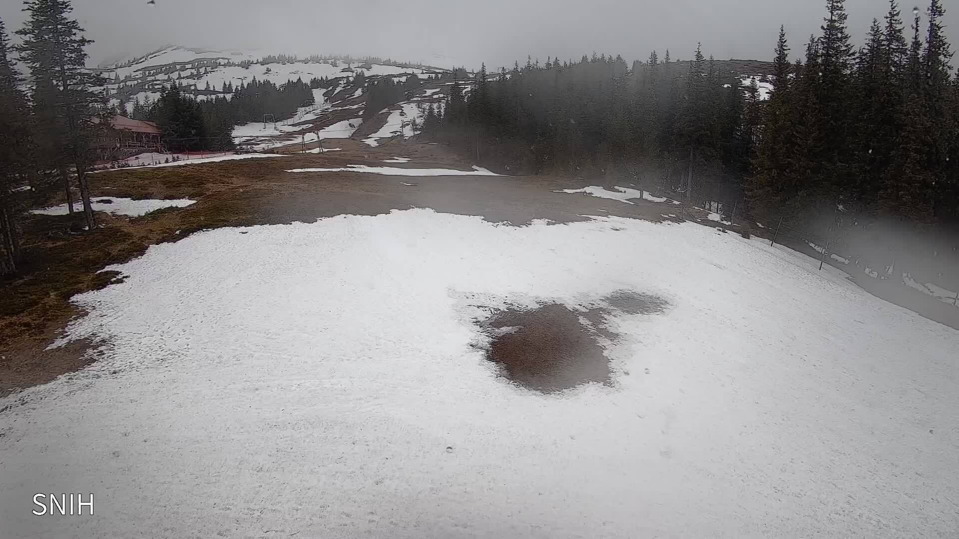 Зима в апреле: в Карпатах посреди весны пошел снег. Фото и видео
