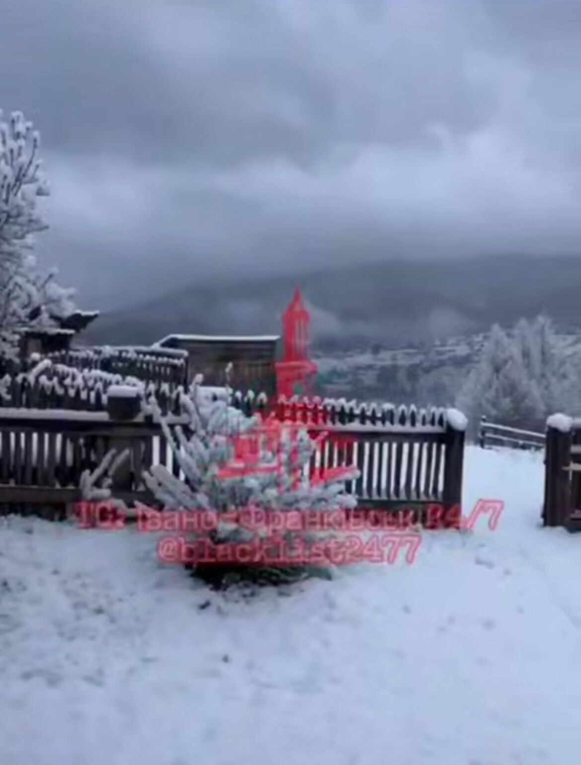 Зима в апреле: в Карпатах посреди весны пошел снег. Фото и видео