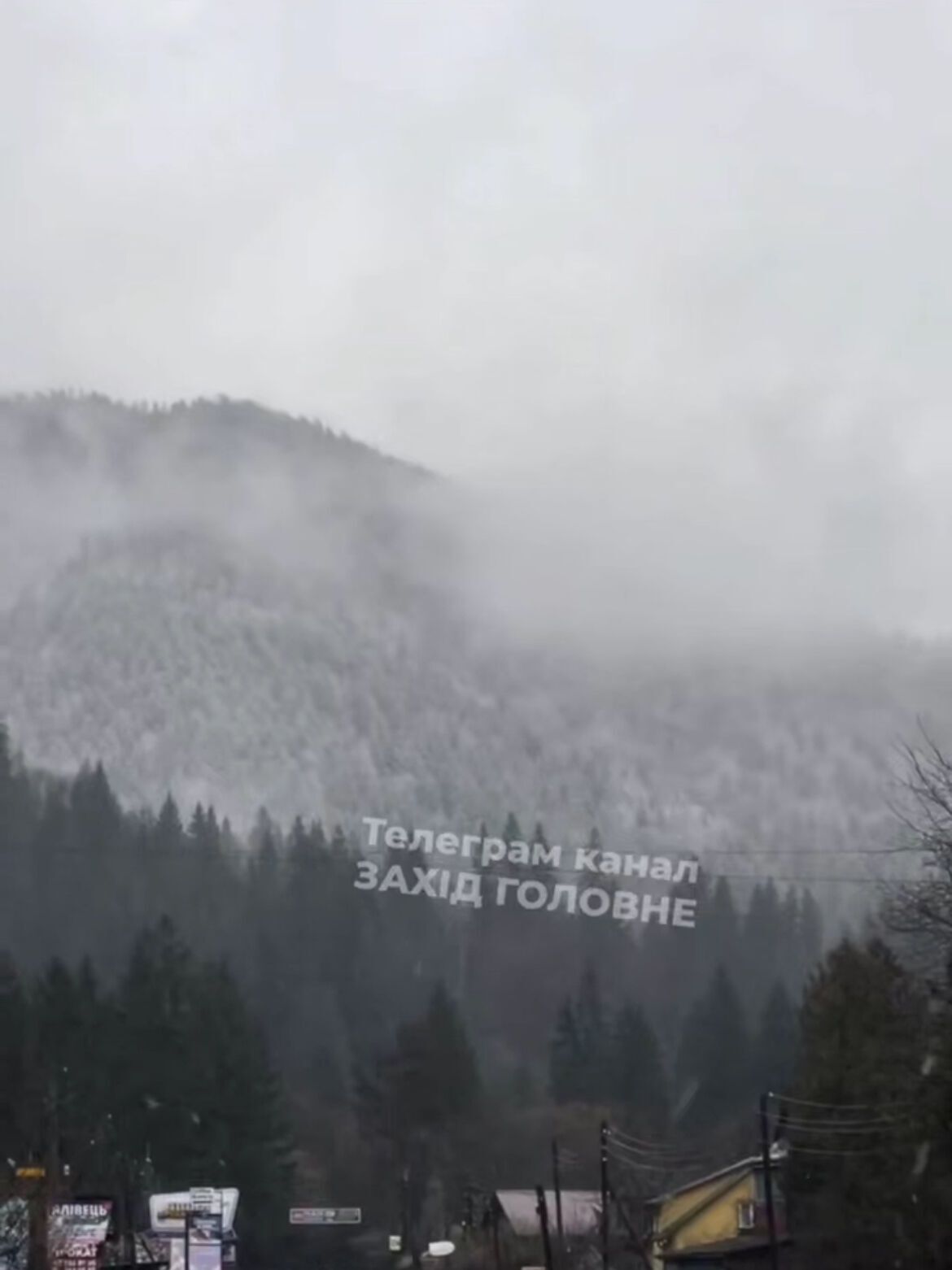 Зима в апреле: в Карпатах посреди весны пошел снег. Фото и видео