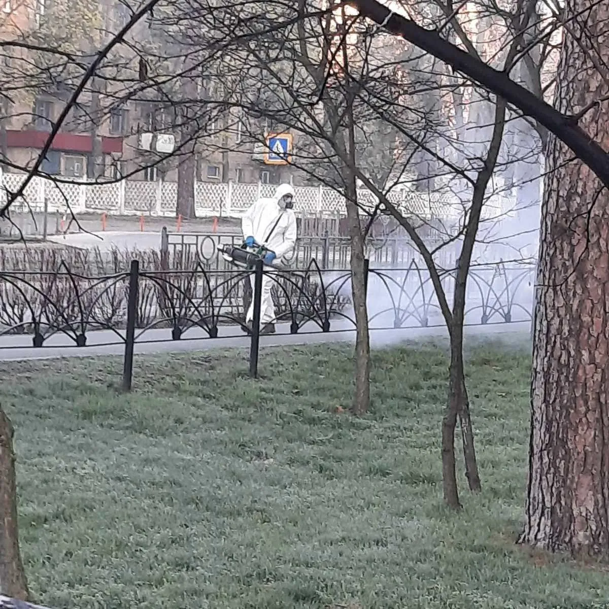 У Києві комунальники почали боротьбу із кліщами: де проводитимуть обробку територій