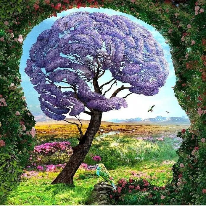 Что увидели первым? Тест раскроет ваши скрытые черты характера