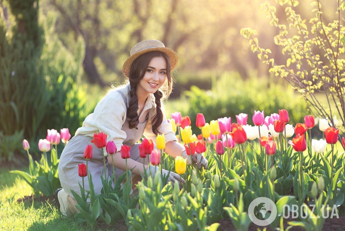 Что делать, если тюльпаны не цветут: как исправить ситуацию